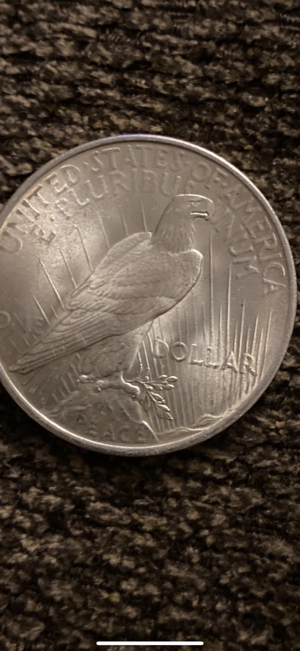 Help-Grading-This-1923-Peace-Dollar.
